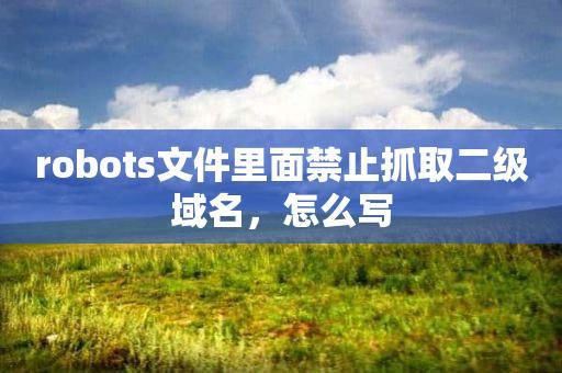 robots限制域名（电脑robots限制如何解除）-图1