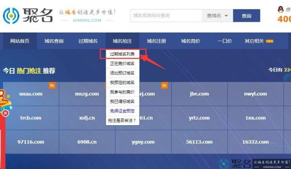 过期域名怎么抢注（过期域名抢注平台）-图2