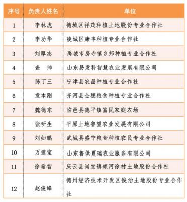 昌乐哪里有做网站的（昌乐网站建设）-图2