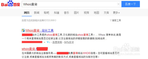 怎么查域名所有者信息（怎么查域名所有者信息呢）-图3