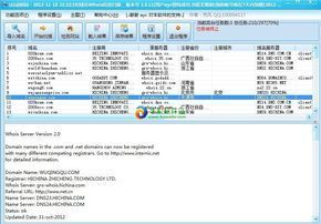 包含域名批量查询网站的词条-图3