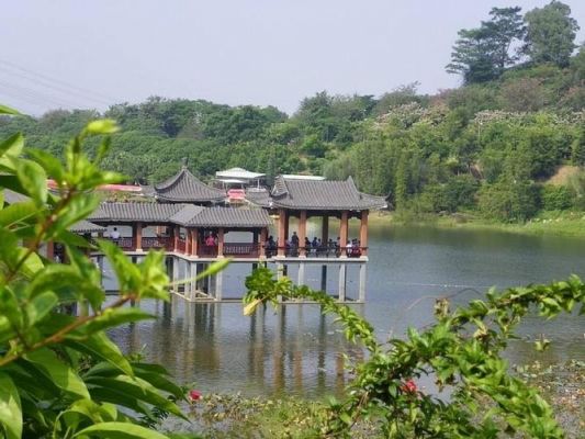 万江哪里有风景区好玩（万江哪里有风景区好玩的）-图3