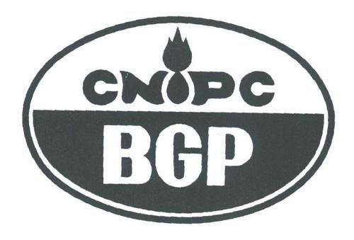 bgp国际部怎么样（bgp公司）-图1