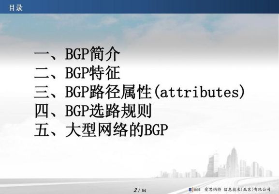 bgp国际部怎么样（bgp公司）-图3