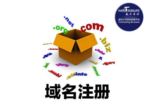 全球域名注册公司（全球域名注册公司有哪些）-图1