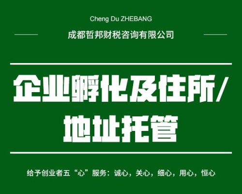 集群企业托管服务器（集群企业住所托管服务是什么）-图2