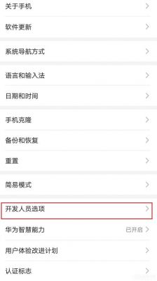 华为手机的开发人员选项在哪里（华为手机的开发人员选项在哪里打开）-图1