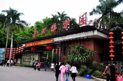 华南植物园在哪里租车（华南植物园车能开进去吗）-图1