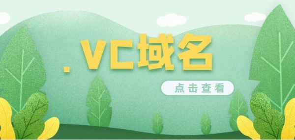 vc域名价值（vc域名能备案吗）-图1