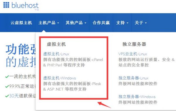 bluehost主机到期了怎么续费的简单介绍-图2