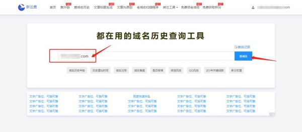 怎么查域名原来信息吗（怎么查域名历史）-图2
