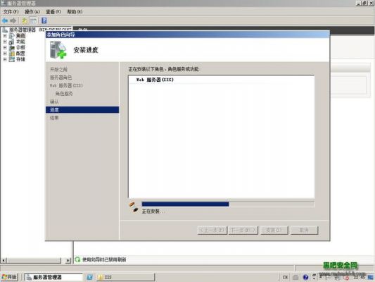 2008服务器系统怎么安装iis（2008服务器系统怎么安装）-图2