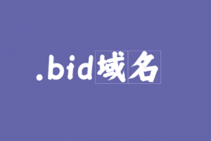 bid域名注册（bid域名注册局）-图2