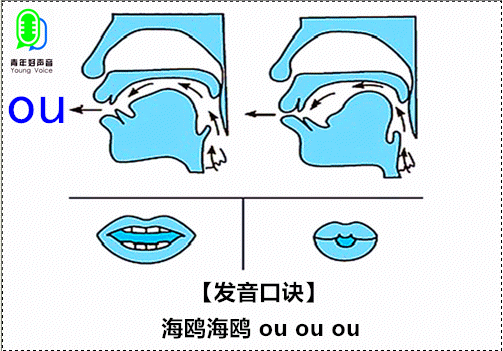 ou舌头放在哪里可以看（一般舌头放哪）-图2