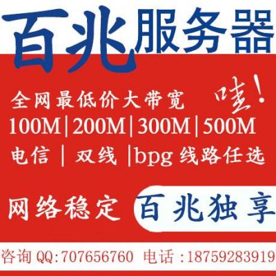 服务器租用100m（服务器租用公司）-图3