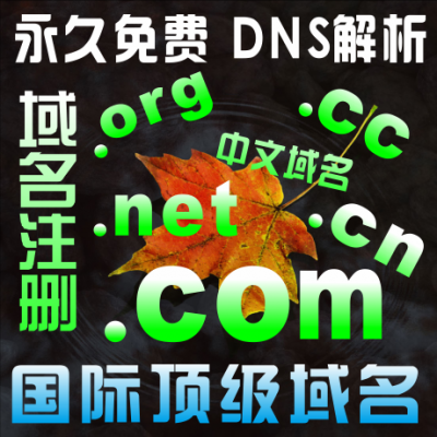 注册英文net域名（英文cn域名）-图2