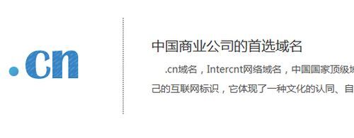 cn域名企业制（企业域名怎么填写）-图3
