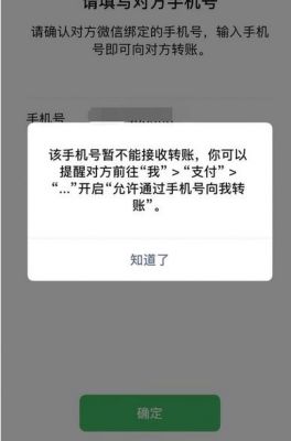 微信转账怎么进不来（微信转账怎么进不来钱了）-图2