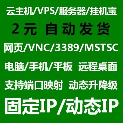 服务器怎么挂挂机宝（服务器vps挂机宝）-图2