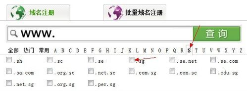 .sg是什么域名（s开头的域名）-图2