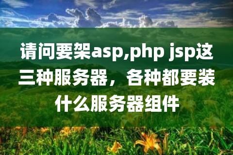 phpjsp服务器（php web服务器）-图3