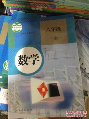 哪里有初二下册数学本案（初二数学下册书本）-图2