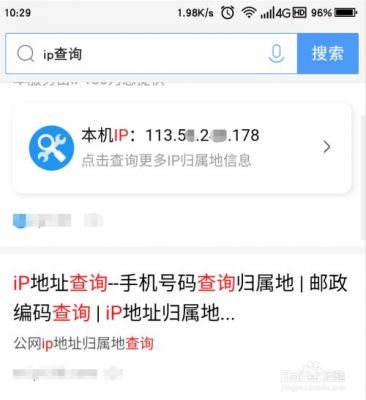 用手机怎么查域名（手机怎么看域名的ip地址）-图2