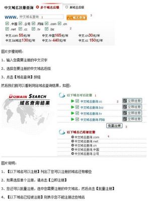 怎么中文域名查询（查询中文域名注册）-图3