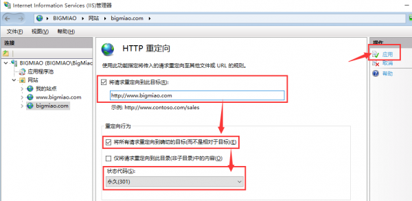 关于iis域名指向的信息-图2