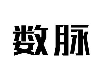 数脉科技怎么样（数脉是什么意思）-图2