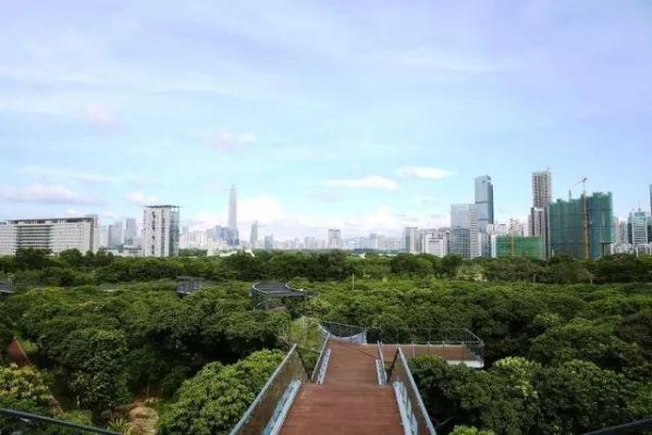 南山区哪里设计比较多（南山区哪里最值得一去）-图1