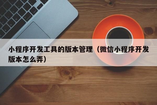 自己怎么弄vps（自己怎么弄微信小程序）-图2