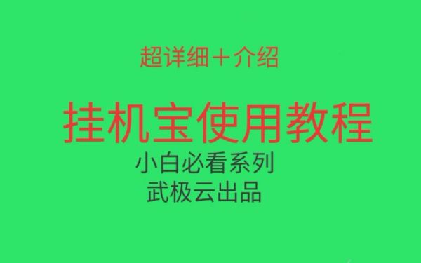 怎么使用挂机宝视频教程（挂机宝使用教程手机）-图3