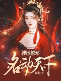 傻妃是哪里的人（傻妃是个狠角色全文阅读）-图2