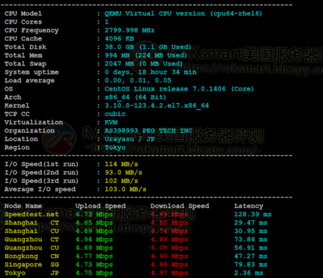 raksmart的vps怎么样（raksmart服务器怎么样）-图1