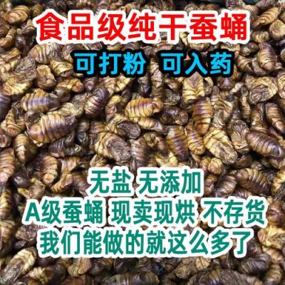 哪里能买到蚕蛹粉（哪里有卖蚕蛹的,多少钱呀）-图1