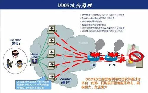 ddos攻击zm怎么防（防DDOS攻击）-图1