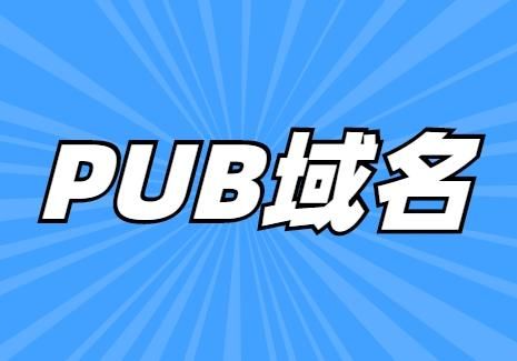 pub域名认证（pub域名怎么样）-图1