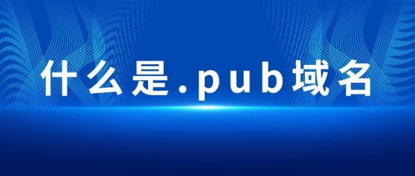 pub域名认证（pub域名怎么样）-图2