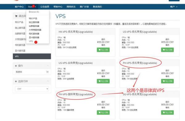 购买的vps怎么使用（vps在哪）-图2