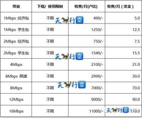 怎么查询巴基斯坦中卡流量（巴基斯坦zong卡怎么包流量）-图2