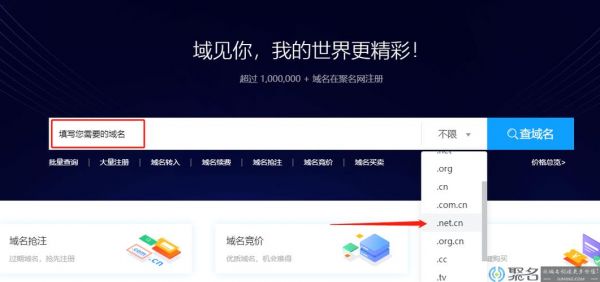 免费域名net（免费域名app下载）-图3