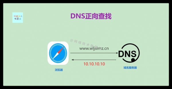 域名dns怎么查（查询域名dns）-图1