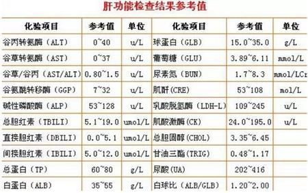 服务器主要指标（判断肝硬化的主要指标）-图1