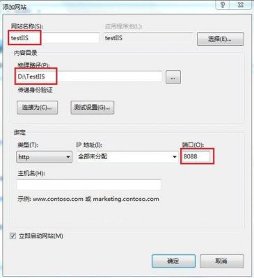 iis怎么查看网站的域名（iis网站属性怎么进）-图1