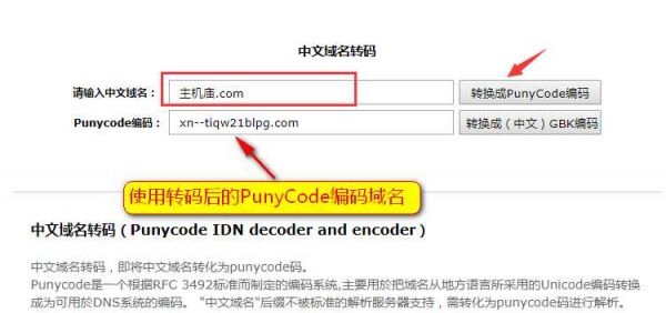 域名中文（域名中文编码）-图3