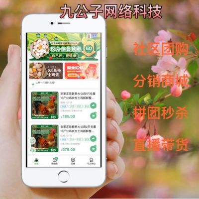 九江哪里有小程序卖（九江小食品批发城在哪里）-图3