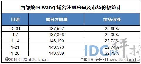 网域名注册最大（wang域名注册）-图3