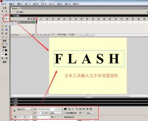 flash按钮在哪里（flash按钮作用）-图2