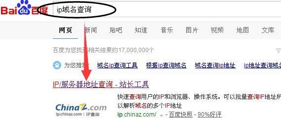 114域名ip查询（域名查询ip地址查询）-图2